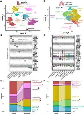 Integrative single-cell analysis of cardiac and pulmonary sarcoidosis using publicly available cardiac and bronchoalveolar lavage fluid sequencing datasets